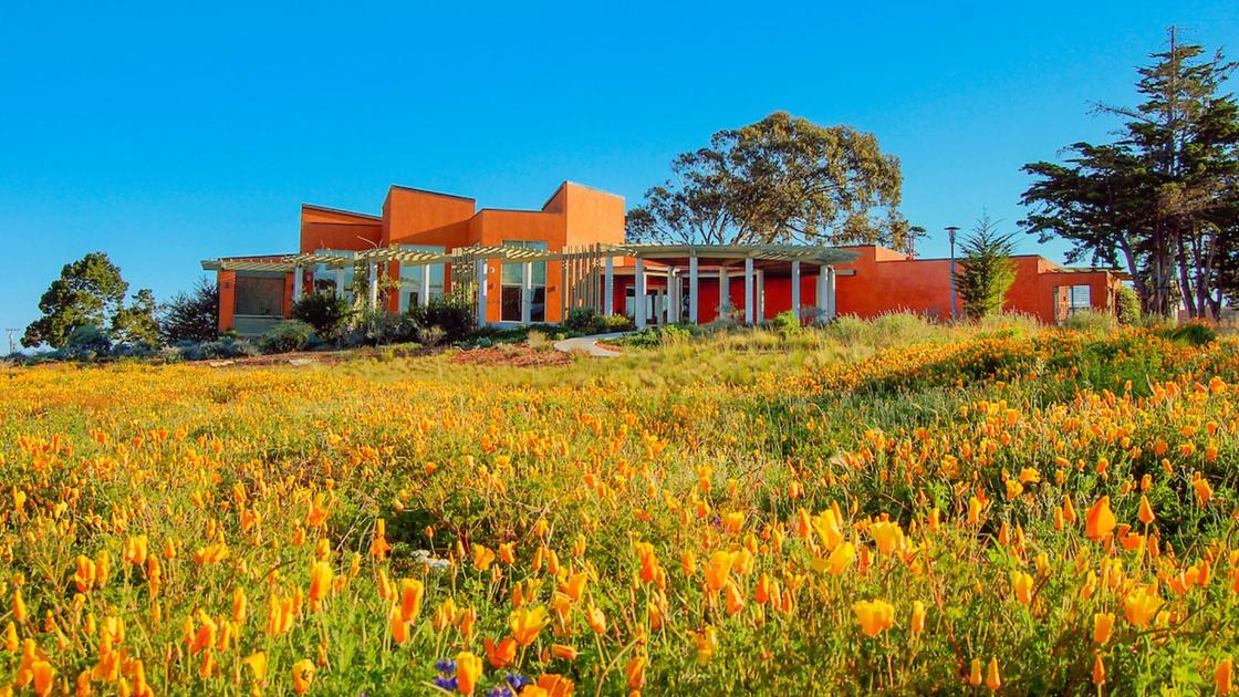 CSUMB campus observes spring break and Caesar Chavez Day | California ...