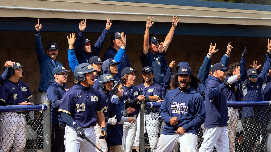Otters top CCAA baseball standings, host conference championship ...