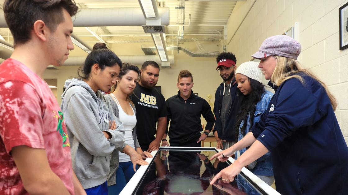 Kinesiology receives $150,000 grant to help struggling students ...