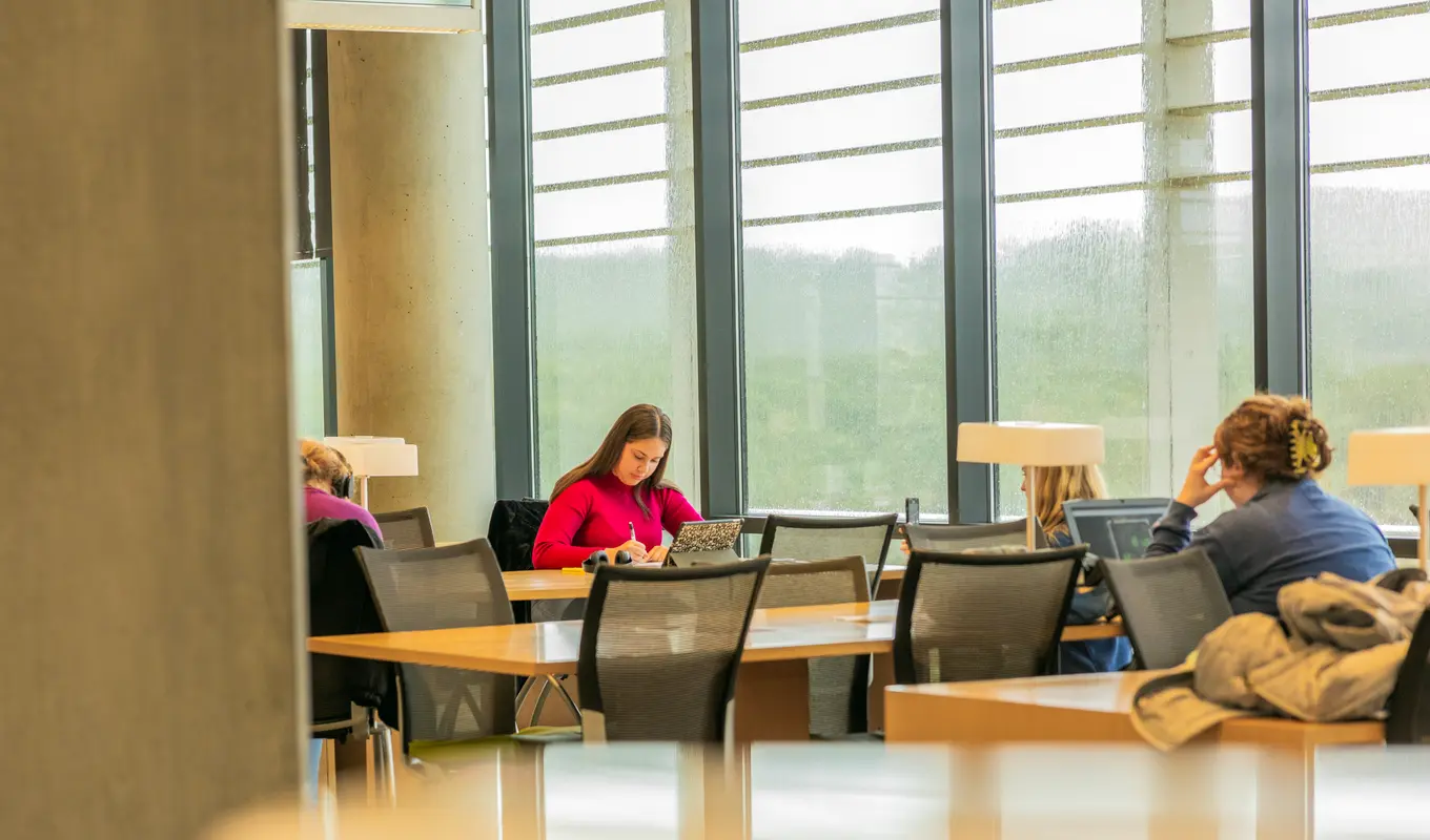 Master of Business Administration | California State University ...