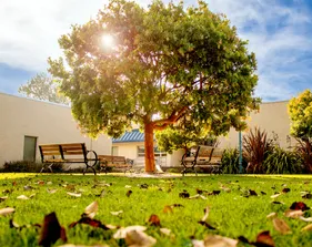 RND Amphitheater