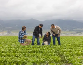 plant-soil-science-042525-162