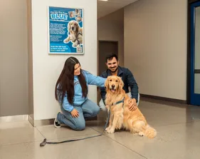 Two Students In front of the elevator inside the OSU one male one female petting a golden retriever therapy dog named Blue.