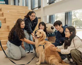 Five students sitting in front of a large monte plushe in the OSU petting Blue the therapy dog.