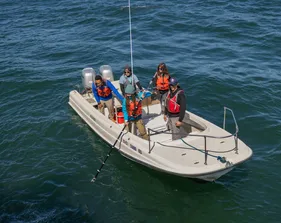 A group of four students and a professor on a boat with life jackets on lowering a pole into the ocean