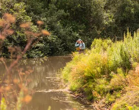 An environmental science student standing next to a river looking into the water while holding a clipboard