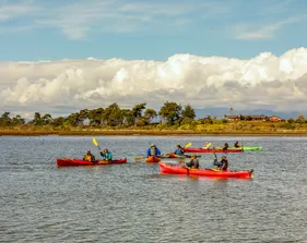 Students kayaking in coastal environment