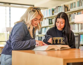 Two students studying in the library