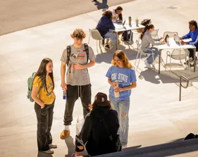 Students meeting outdoors on campus