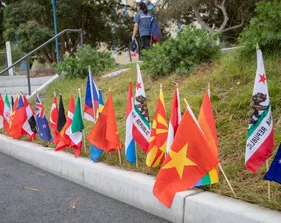 Flags from around the world planted in the grass