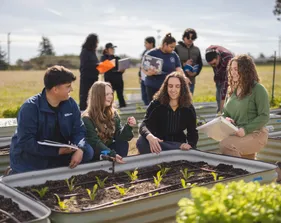 A group of four people is sitting and looking at a planter box.