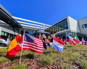 Image of Flags