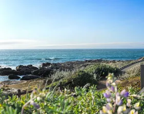 Asilomar State Beach