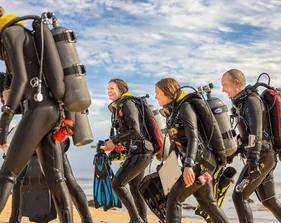Group of scuba divers walking on the beach