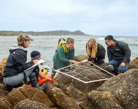 Group of students at the ocean