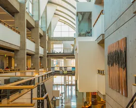 An interior view of the Tanimura and Antle Library.