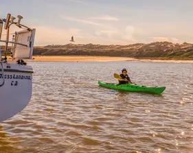 students kayaking on a river