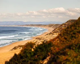 picture of the beach