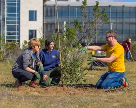 Two students planting a tree outside together with a professor guiding them.