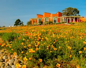 A landscape shot of the Alumni and Visitor Center
