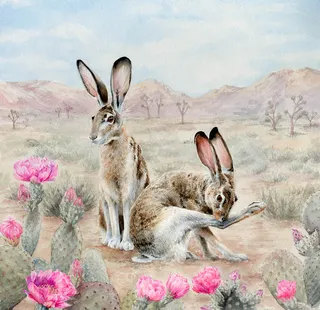 An illustration of two jackrabbits in a desert landscape with blooming cactus flowers and distant mountains. The artwork features soft pastel tones and is credited to artist Emma Nydam.