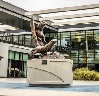 Otter statue in front of the Otter Student Union