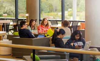 Students in library