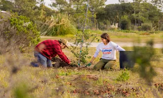 College Corps tree planting