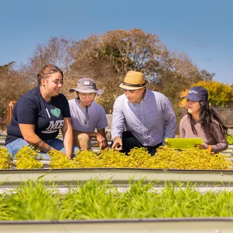 Rooted in Opportunity-Ag professor and students with plants