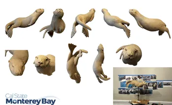 Otter sculpture turnarounds