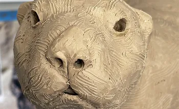 Otter Sculpt Face
