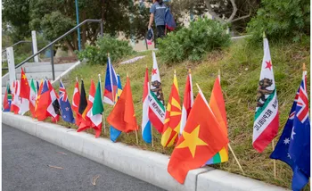 Flags from around the world planted in the grass