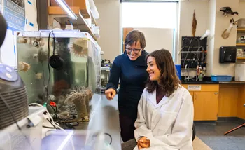Professor and student observe marine organisms in a water tank inside the laboratory