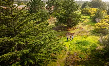 Hiking trails