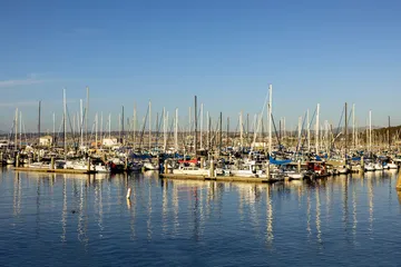 Boats fill a sunlit Monterey harbor, with rows of masts reflecting across calm coastal waters