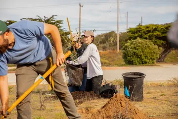 Student planting a tree