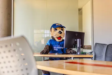 Monte sitting at a desk