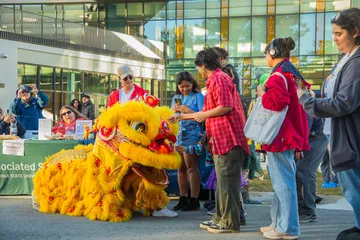 Lunar New Year