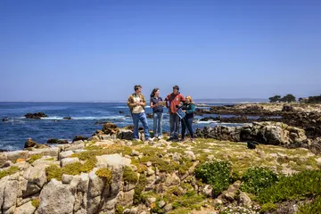 Students from the statistics program on the beach