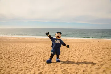 Mascot on the beach