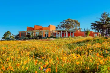 A photo of the AVC building