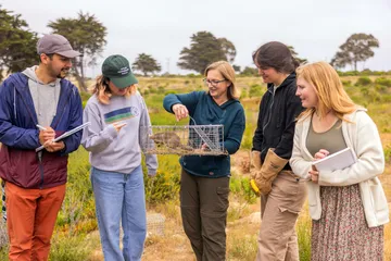 A group of four AES students and a professor standing in the grass while the professor is holding a squirrel in a cage