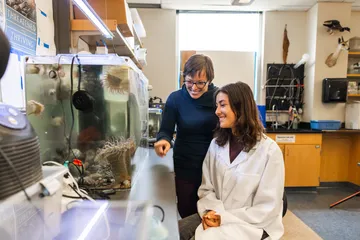 Professor and student observe marine organisms in a water tank inside the laboratory