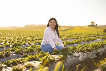 An agricultural plant and soil science student in a field