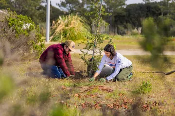 Two students planting a tree outside together.