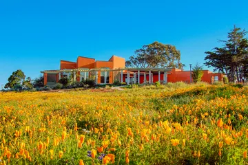 A photo of the AVC building