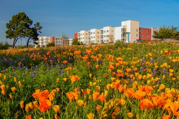 Image of North Quad buiding with meadow in the foreground