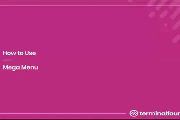 mega menu walkthrough ss