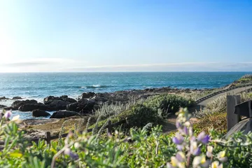 Asilomar State Beach