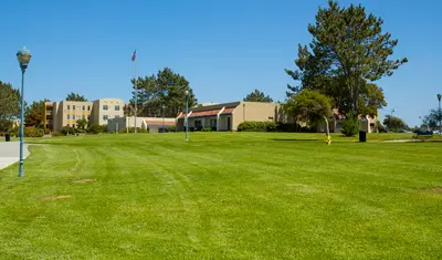 Green grass on the CSUMB Quad